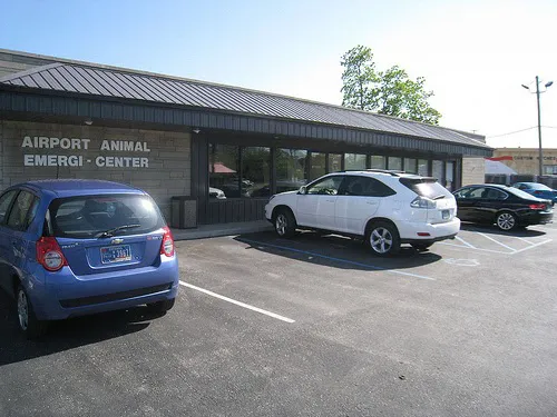 Airport Animal Emergi-Center Picture 1