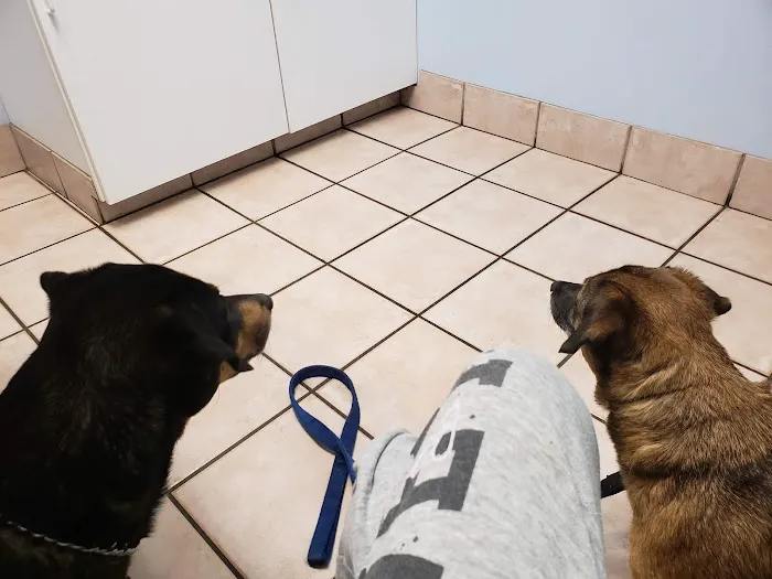 Rockville Road Animal Hospital Picture 4