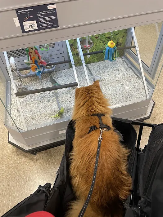 Banfield Pet Hospital Picture 7