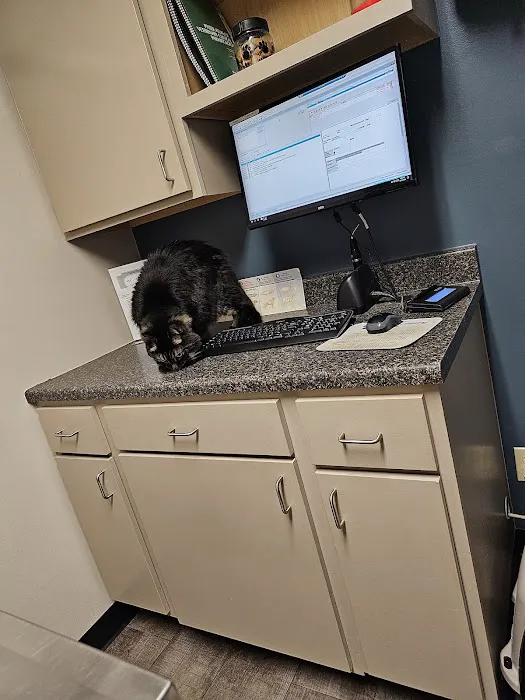 Avon Veterinary Clinic Picture 4