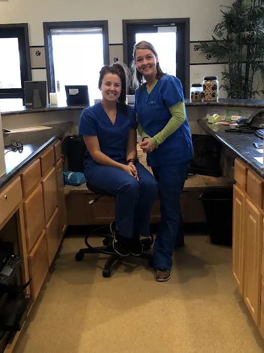 Avon Veterinary Clinic Picture 5