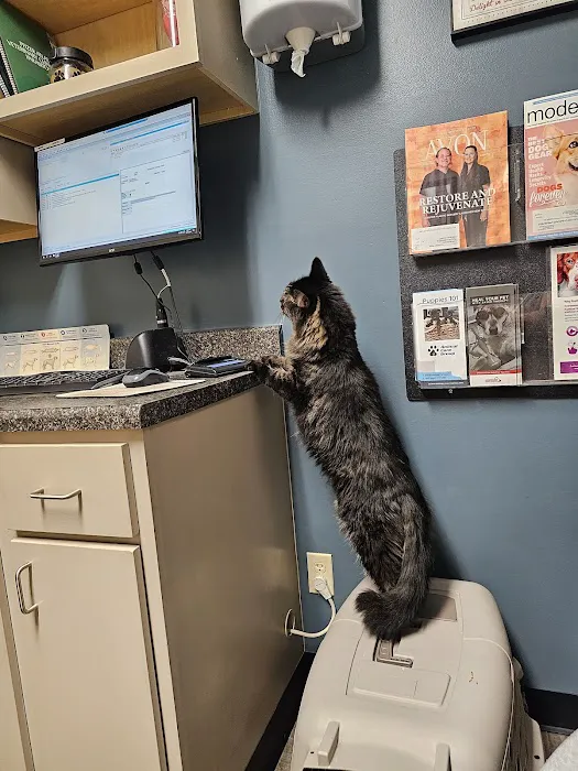Avon Veterinary Clinic Picture 10