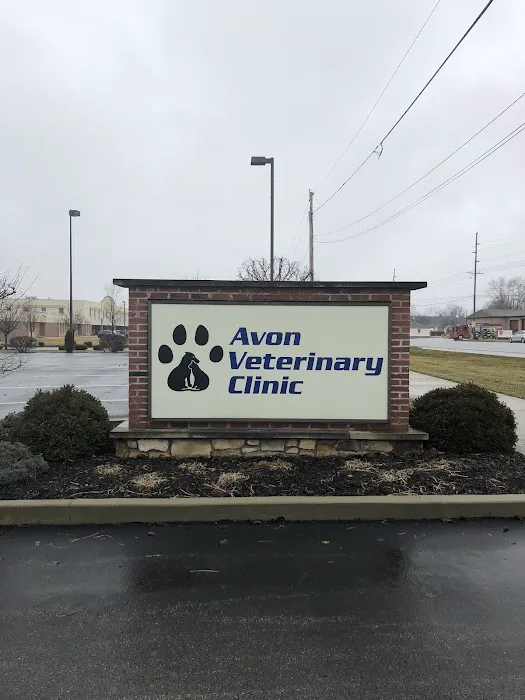 Avon Veterinary Clinic Picture 8