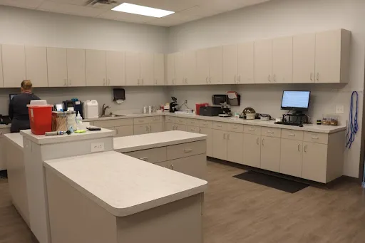 Animal Hospital of Avon Picture 6