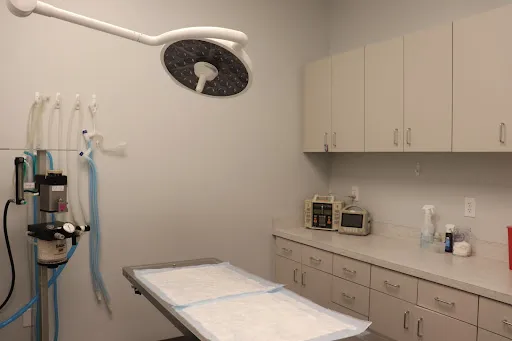 Animal Hospital of Avon Picture 2