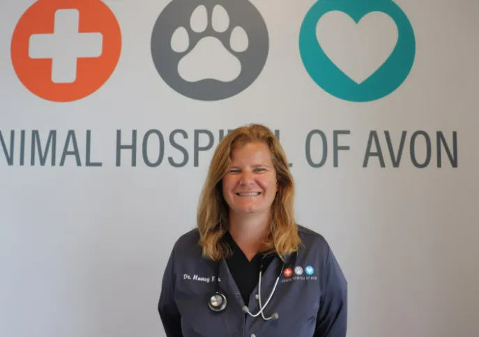 Animal Hospital of Avon Picture 5