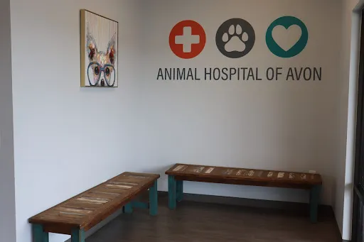Animal Hospital of Avon Picture 9