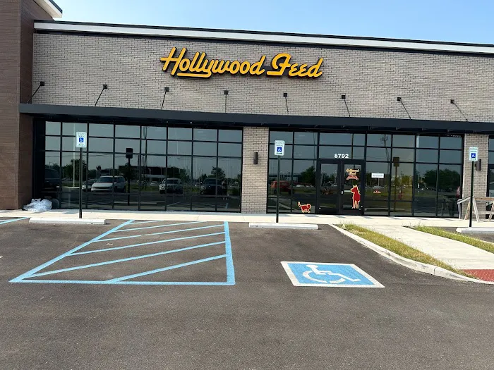 Hollywood Feed Picture 2