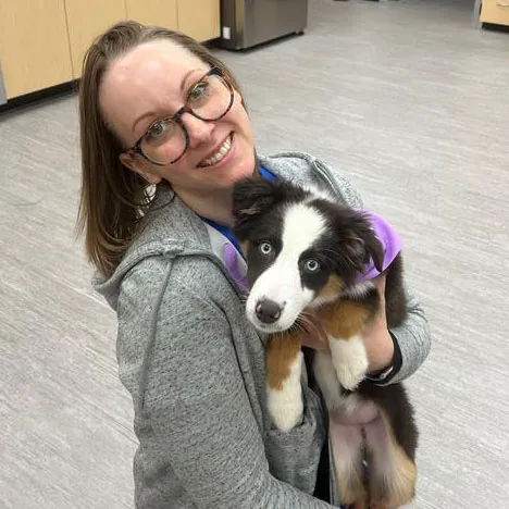 Avon Pet Wellness Clinic Picture 1
