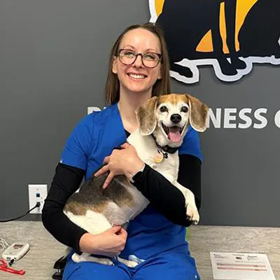 Avon Pet Wellness Clinic Picture 4