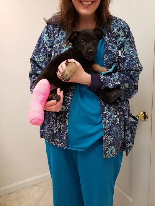 Above & Beyond Animal Care Picture 1