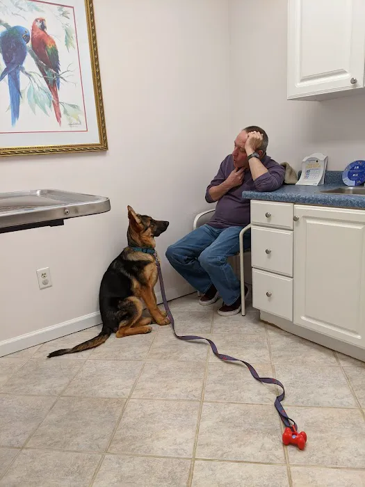 Above & Beyond Animal Care Picture 7