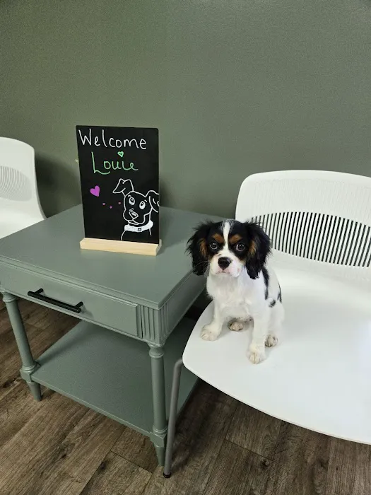 Olive Animal Hospital Picture 1