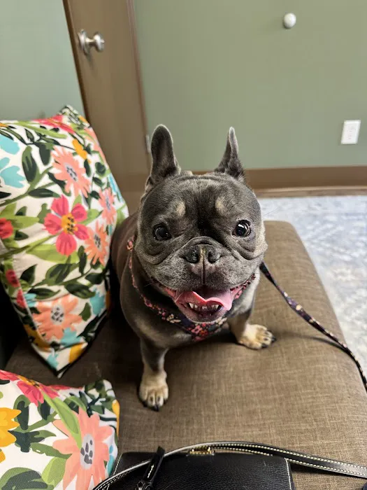 Olive Animal Hospital Picture 7