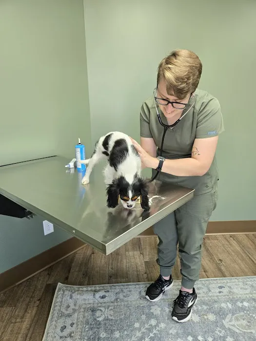 Olive Animal Hospital Picture 2