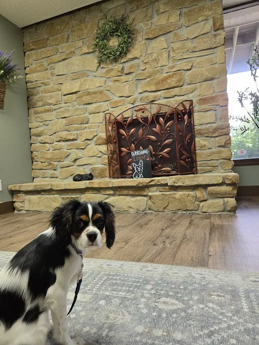 Olive Animal Hospital Picture 9