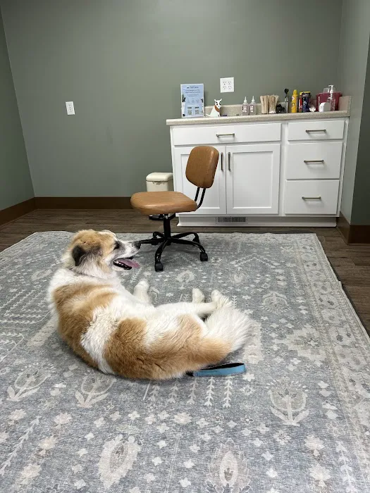 Olive Animal Hospital Picture 10