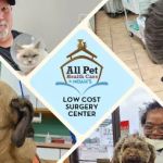 All Pet Low Cost Surgery Center