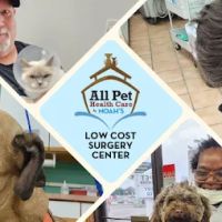 All Pet Low Cost Surgery Center ico