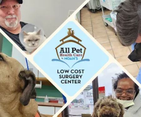 All Pet Low Cost Surgery Center