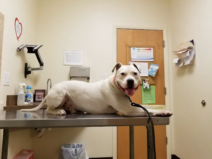 West Michigan Street Veterinary Clinic Picture 8