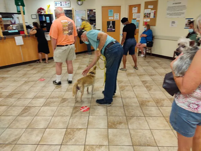 West Michigan Street Veterinary Clinic Picture 7