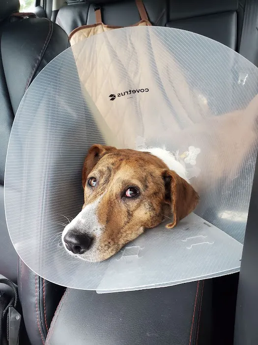 IndyHumane Downtown Clinic Picture 1