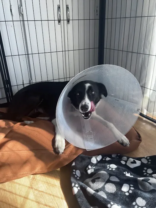 IndyHumane Downtown Clinic Picture 8