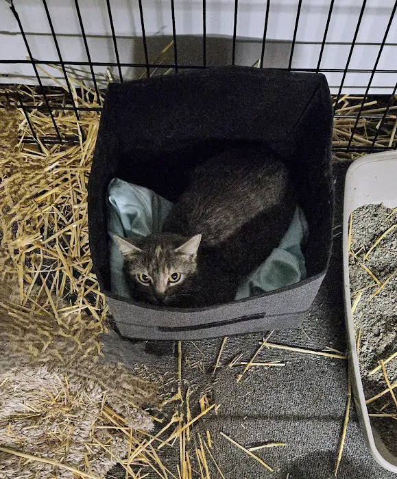 IndyHumane Downtown Clinic Picture 10