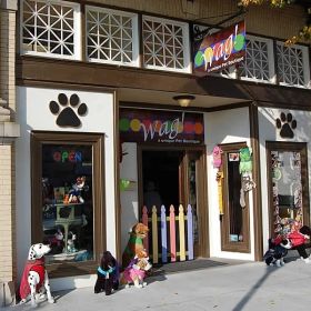 Pet Store Near Me