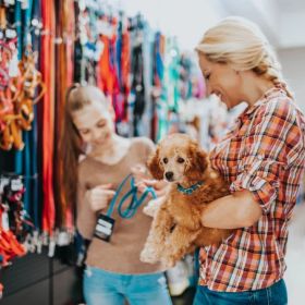 Pet Health Blogs