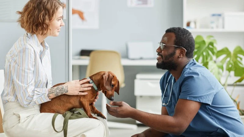Pet Insurance 101: What It Covers & When It Pays