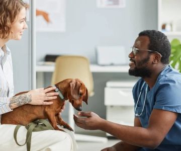 Pet Insurance 101: What It Covers & When It Pays