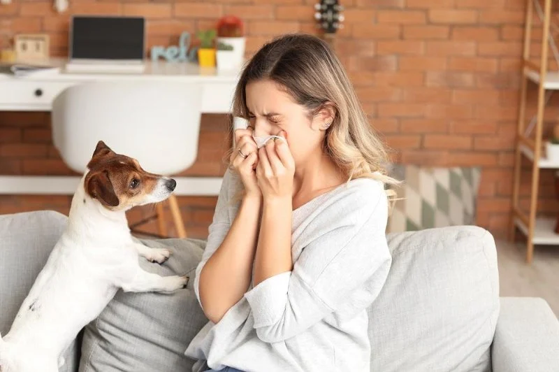 Tips for Reducing Pet Allergy Symptoms in Multi-Pet Homes