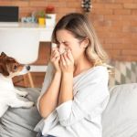 Tips for Reducing Pet Allergy Symptoms in Multi-Pet Homes