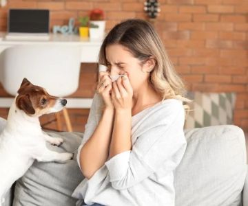 Tips for Reducing Pet Allergy Symptoms in Multi-Pet Homes