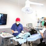 Behind the Scenes of a Veterinary Clinic: What Happens in 24 Hours