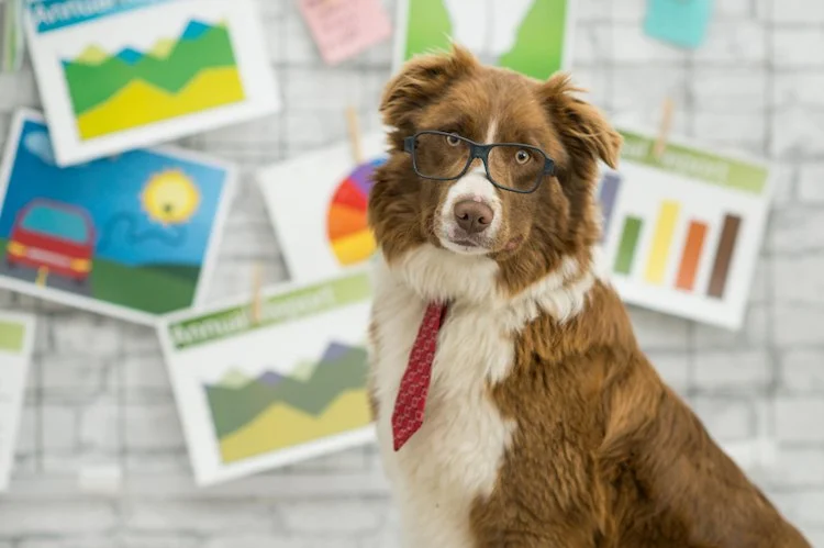 How to Create a Pet Health Journal: Metrics to Track for Better Pet Care