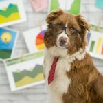 How to Create a Pet Health Journal: Metrics to Track for Better Pet Care