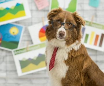 How to Create a Pet Health Journal: Metrics to Track for Better Pet Care