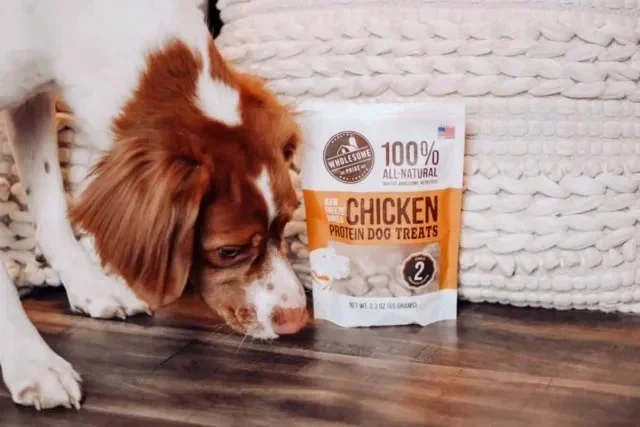 Are Grain-Free Formulas Safe for Pets? What You Should Know