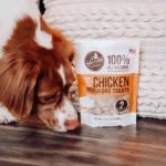 Are Grain-Free Formulas Safe for Pets? What You Should Know