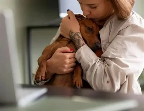 Remote Monitoring of Chronic Illness in Pets: A New Era in Pet Healthcare