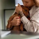 Remote Monitoring of Chronic Illness in Pets: A New Era in Pet Healthcare