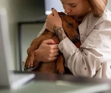 Remote Monitoring of Chronic Illness in Pets: A New Era in Pet Healthcare