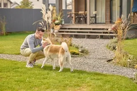 Safe Plants & Landscaping for Homes with Pets: Creating a Pet-Friendly Yard