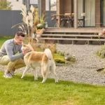 Safe Plants & Landscaping for Homes with Pets: Creating a Pet-Friendly Yard