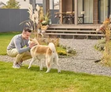 Safe Plants & Landscaping for Homes with Pets: Creating a Pet-Friendly Yard