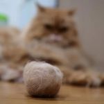 Cat Hairballs: How to Prevent and Manage Them Effectively