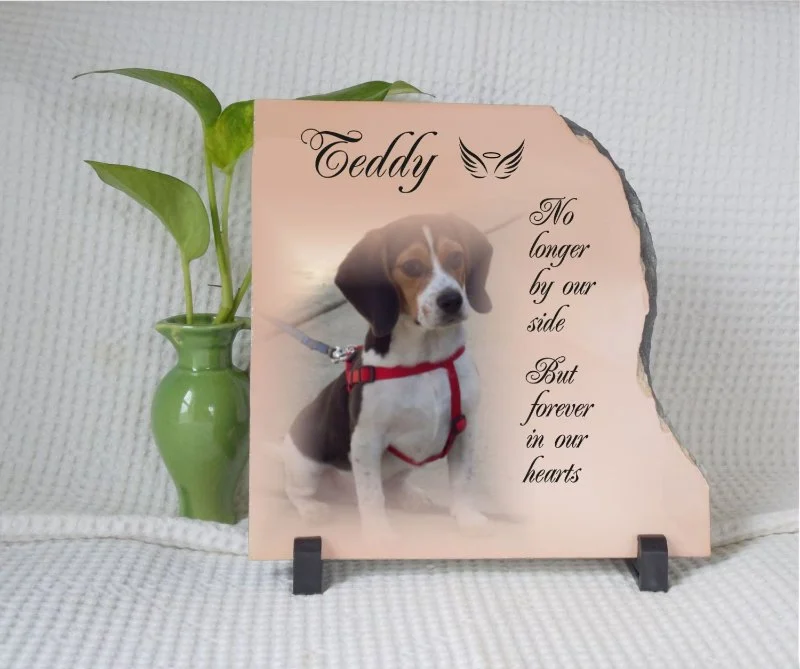 How to Handle Pet Loss: Grieving, Supports & Memorial Ideas for Pet Owners